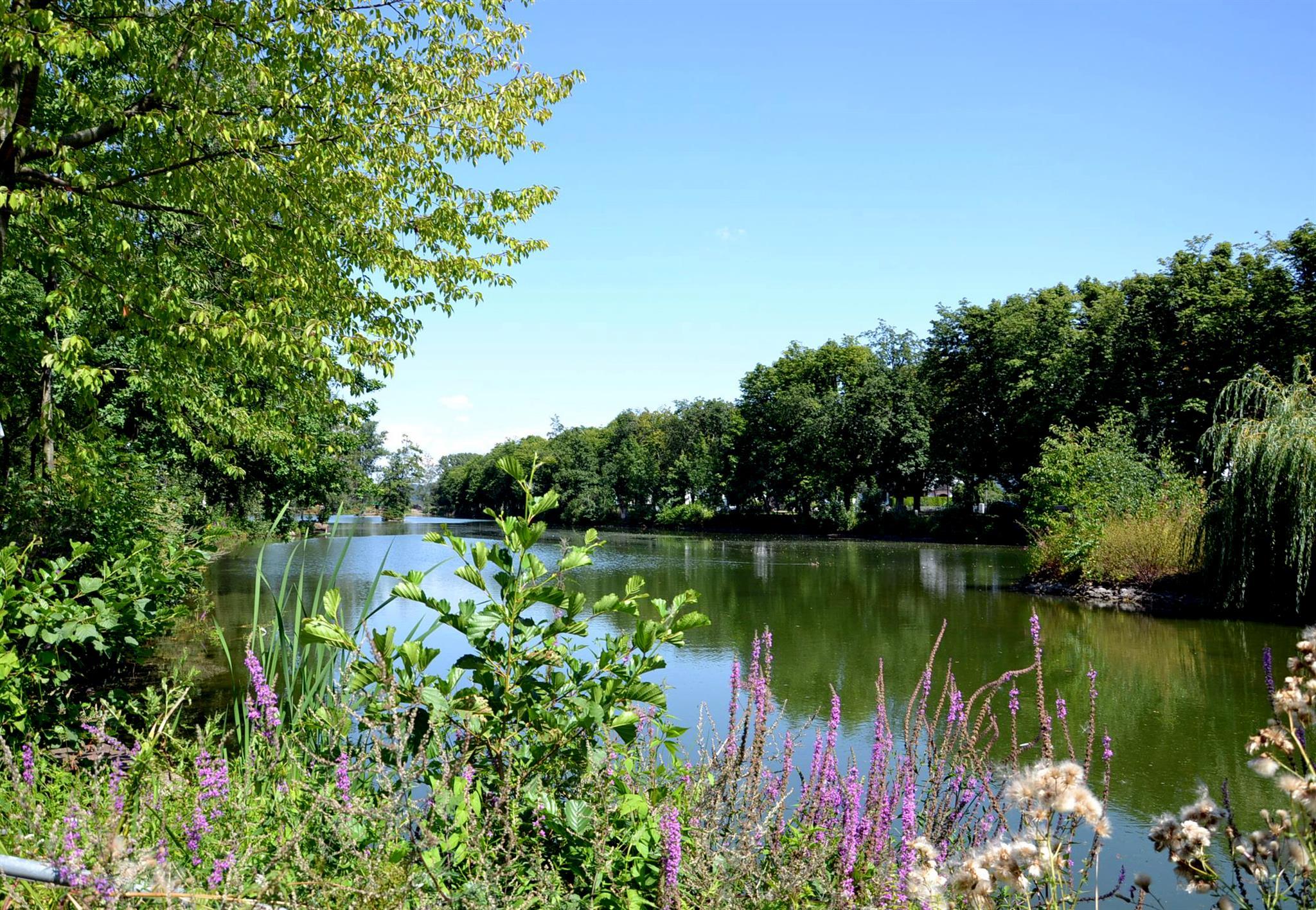 Stadtpark Wieseckaue – Bild 5