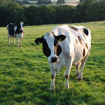 Feilbacherhof – Bild 2