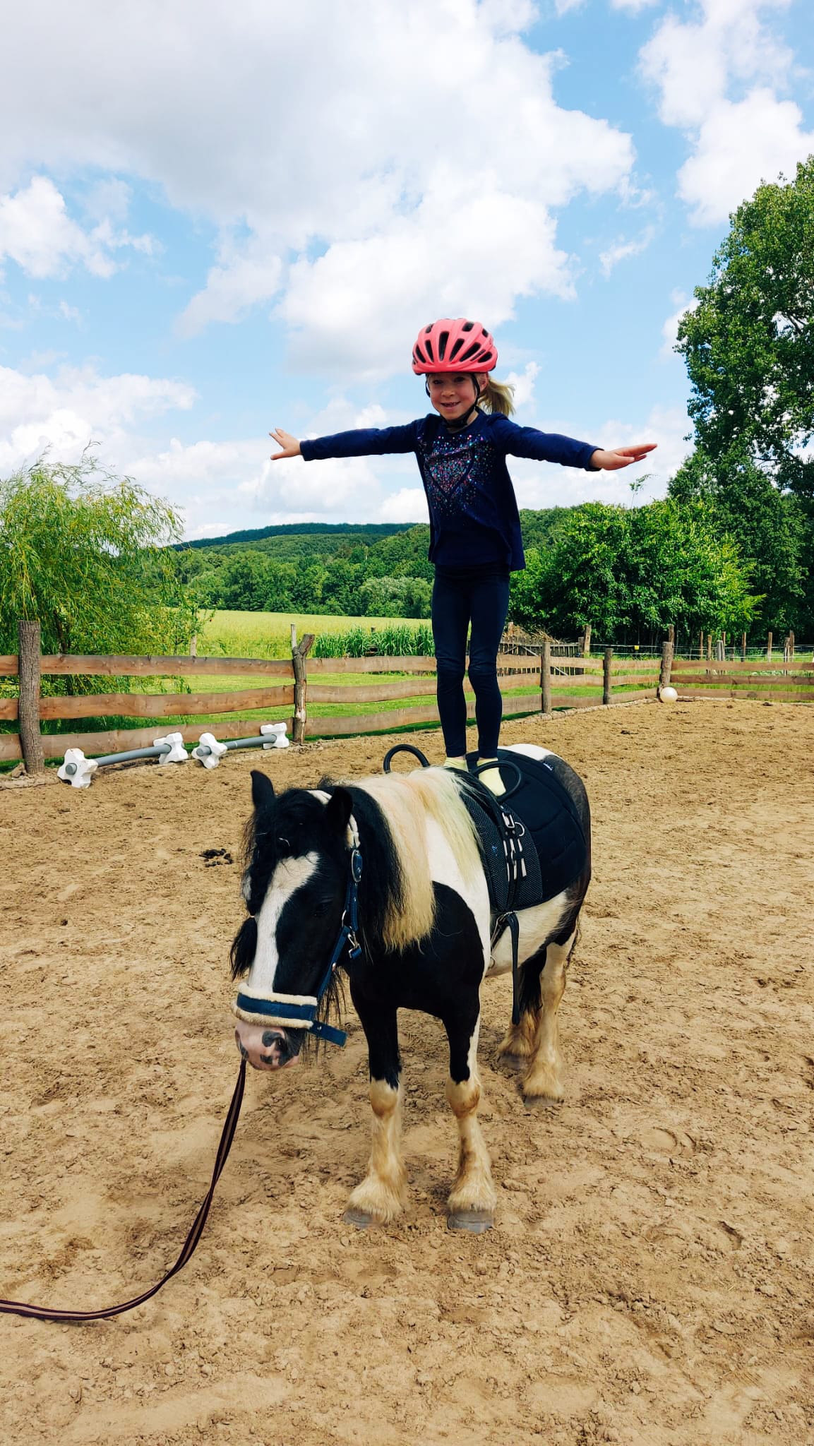 Ponyschule und Bauernhofpädagogik Hof Flagmeier – Bild 3