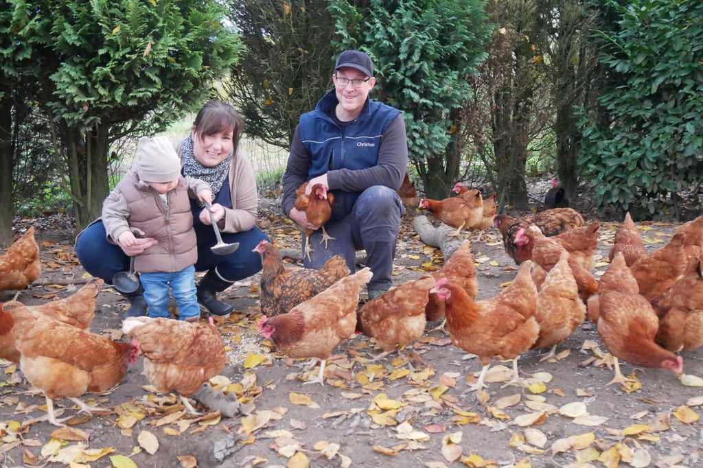 Ponyschule und Bauernhofpädagogik Hof Flagmeier – Bild 5