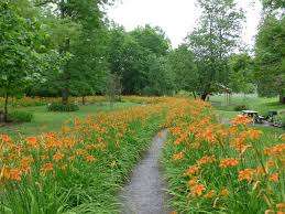 Lily Park – Bild 2