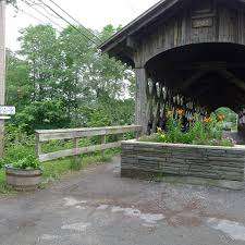 Lily Park – Bild 5