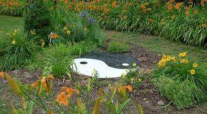 Lily Park – Bild 6