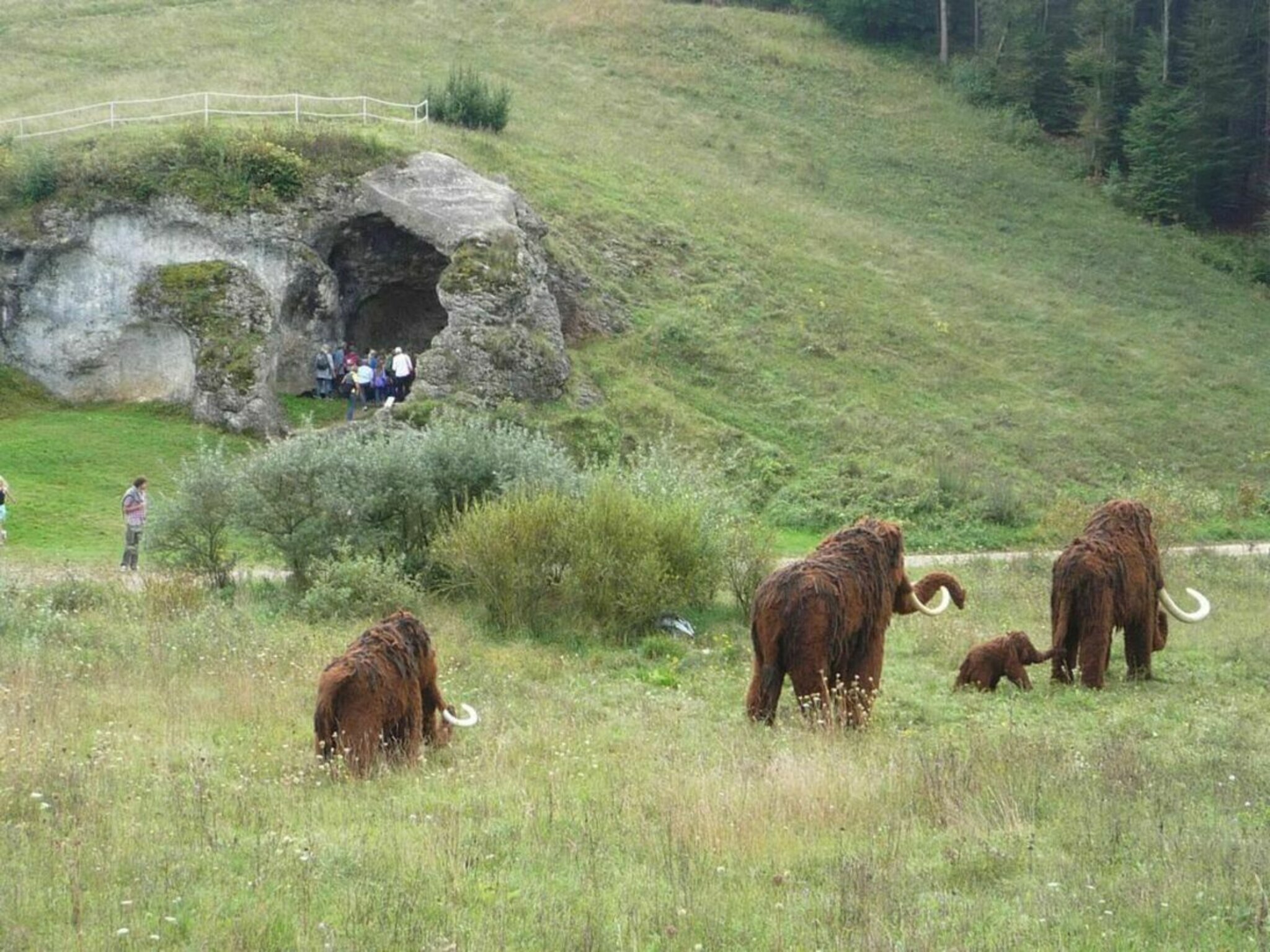 Eiszeitpark Engen – Bild 4