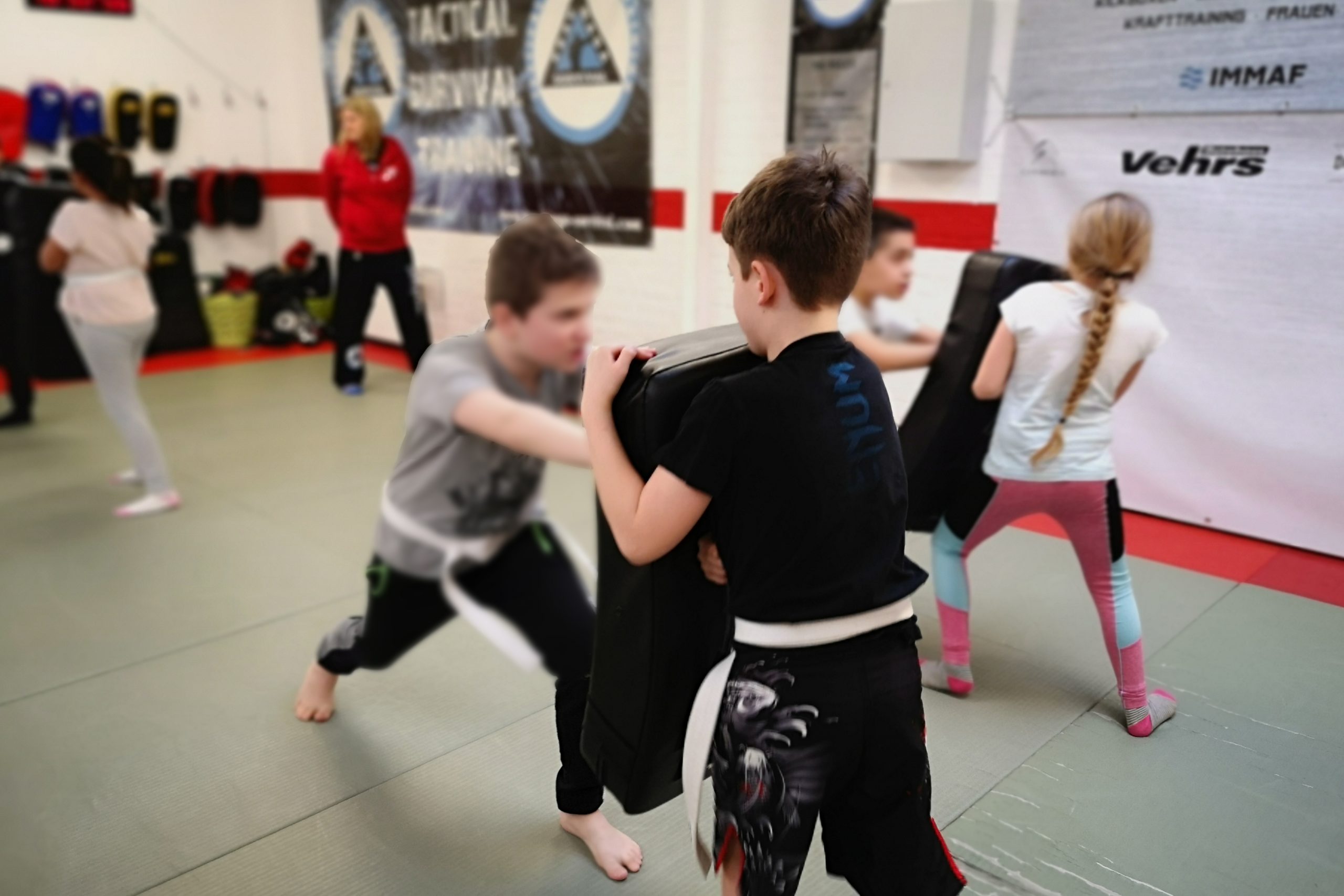 Jab Factory - Kampfsport in Geesthacht – Bild 3