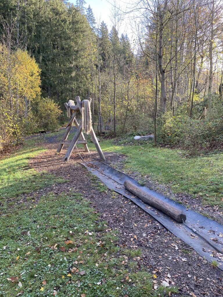 Bergwald-Spiele-Weg Holzerpfad – Bild 3