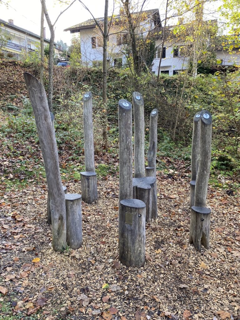 Bergwald-Spiele-Weg Holzerpfad – Bild 6