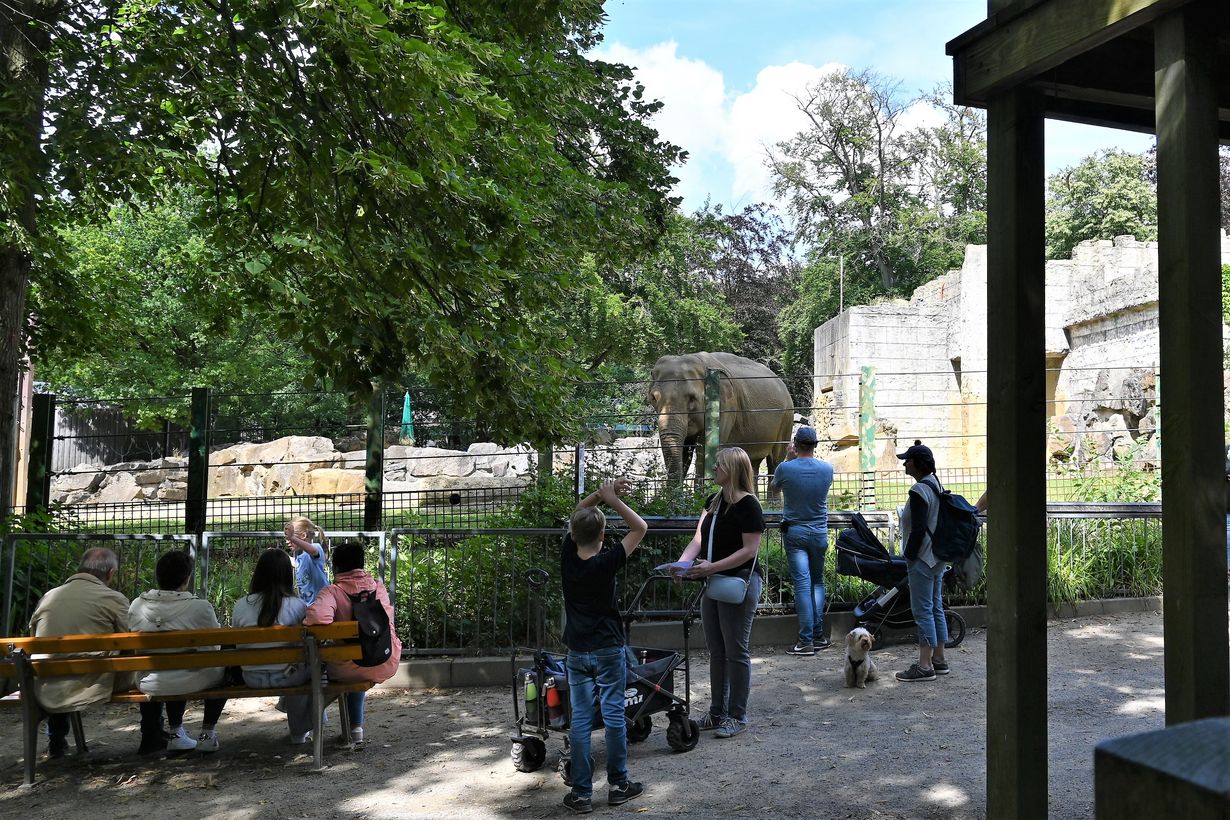 Zoo Osnabrück – Bild 4