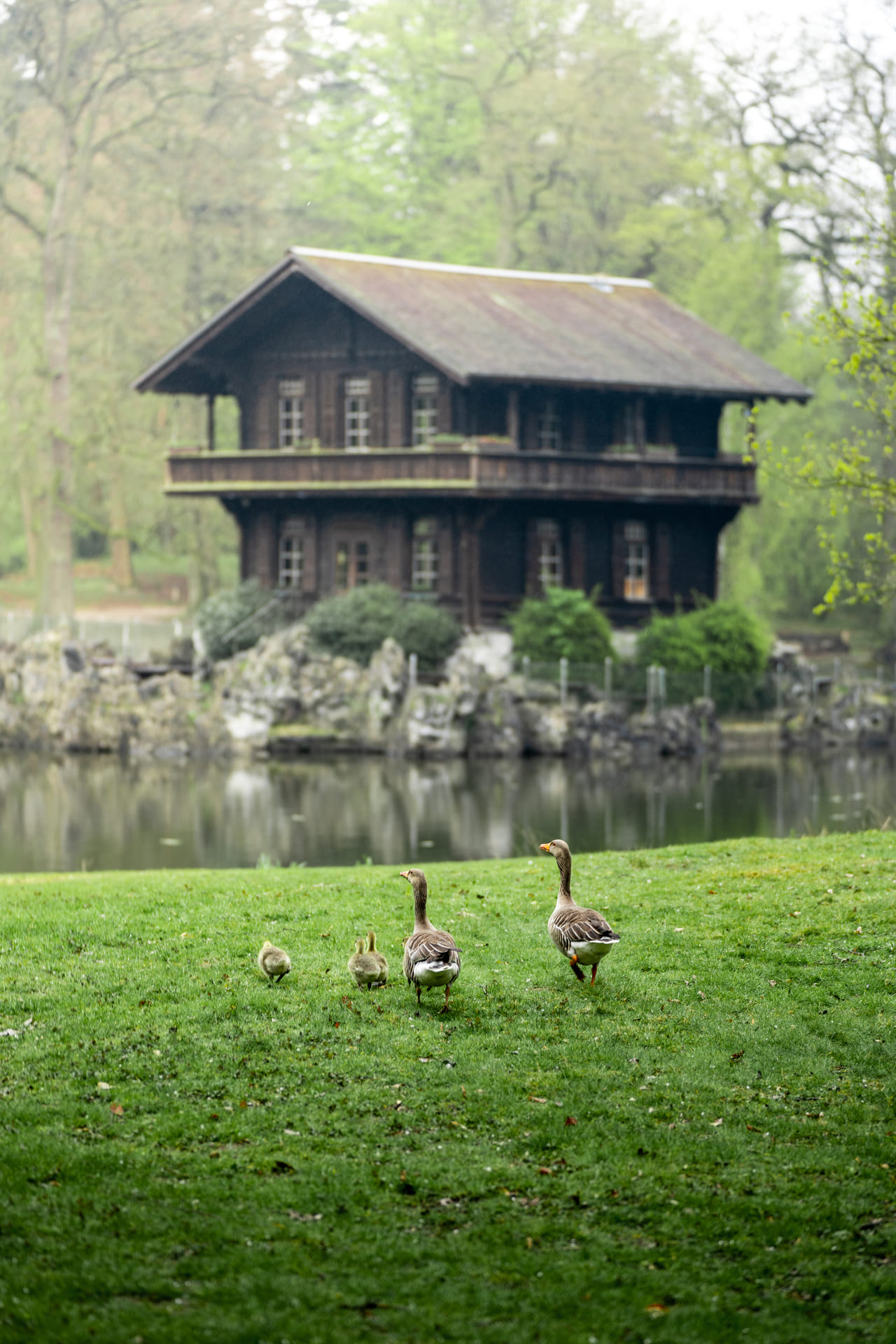 Anholter Schweiz – Bild 2