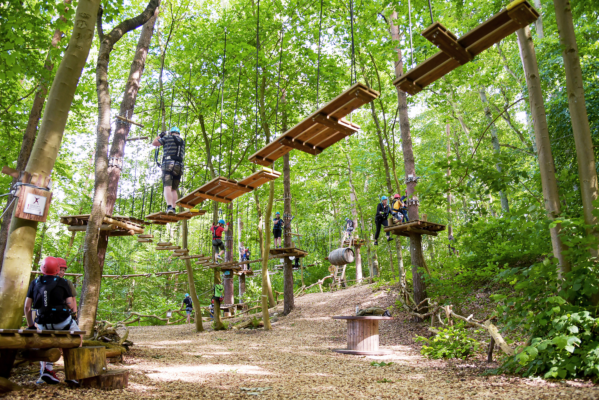 Kletterwald Schwaan - Der Erlebniswald in MV – Bild 4