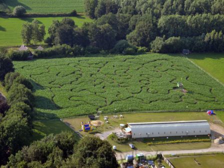 AB Ponyhof und Maislabyrinth – Bild 2