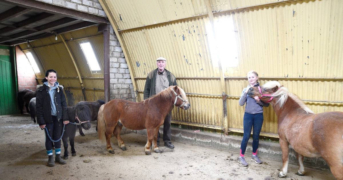 AB Ponyhof und Maislabyrinth – Bild 4