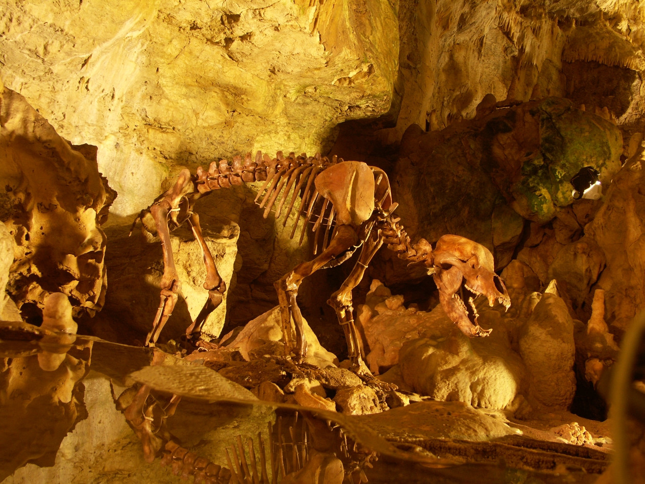 Bärenhöhle – Bild 1