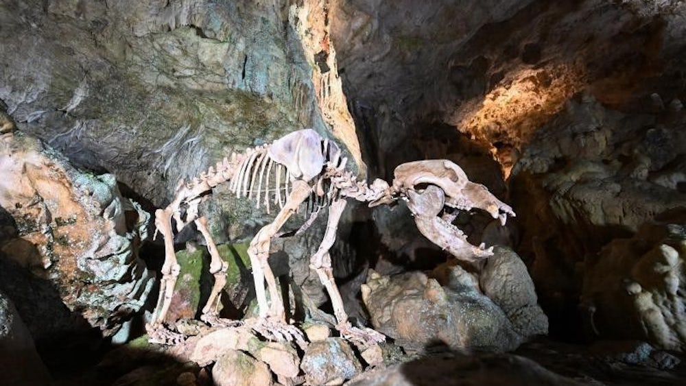 Bärenhöhle – Bild 6