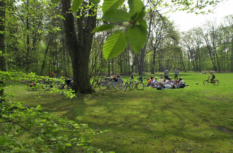 Spielwiese – Bild 1