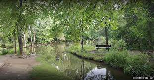 Mésanges Park – Bild 2