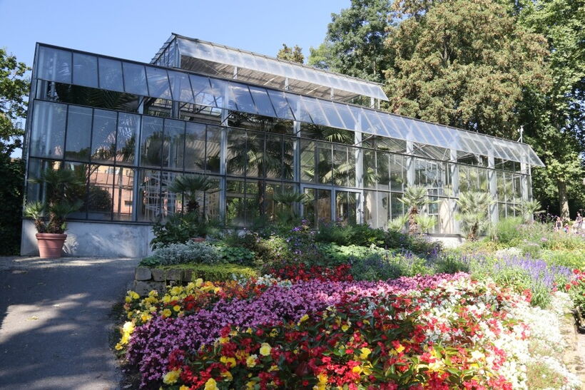 ORANGERIE im Barockgarten – Bild 4