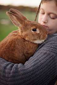 Hidden Pastures Farm – Bild 4