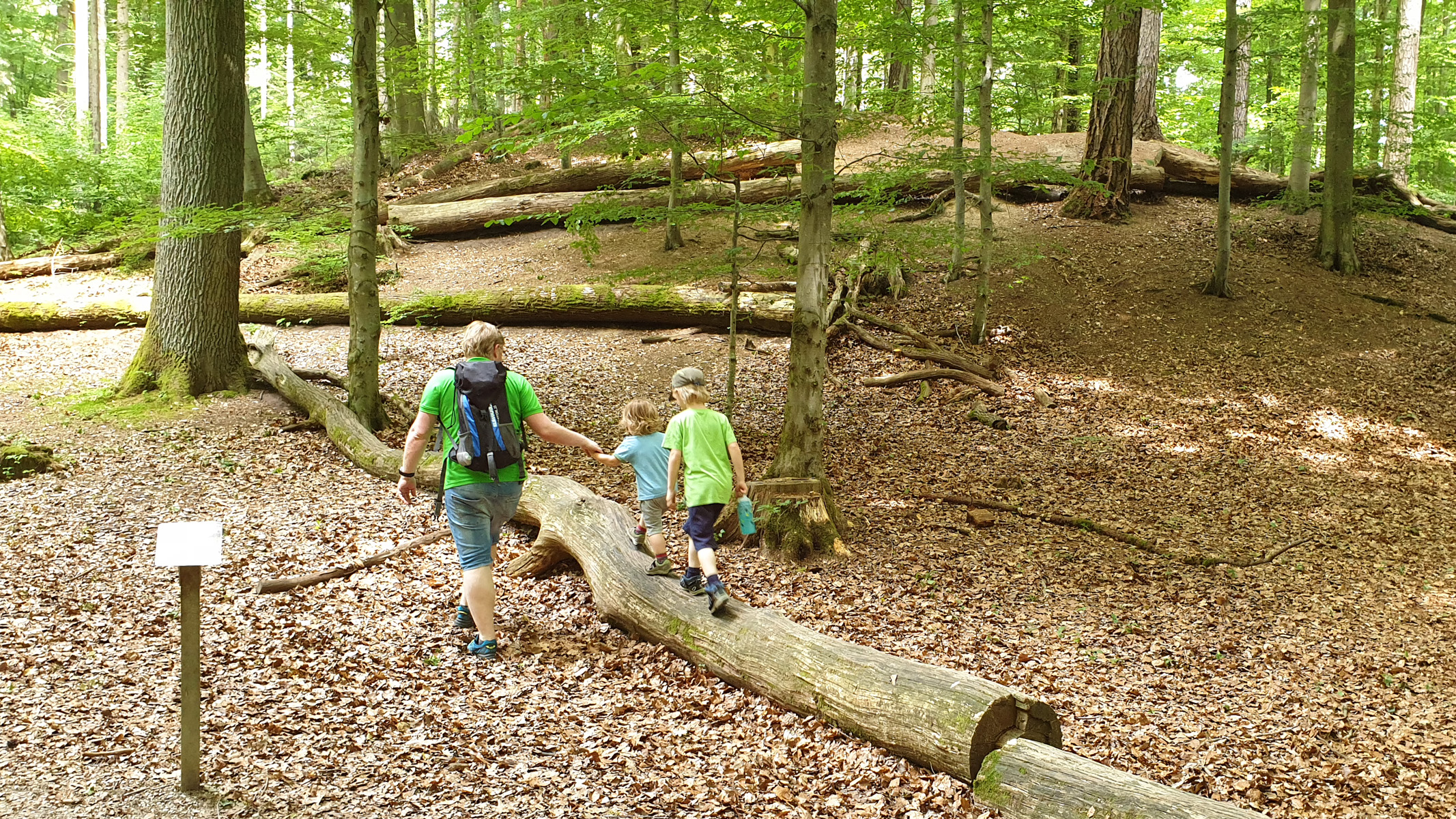 Spielplatz Walderlebnispfad – Bild 4