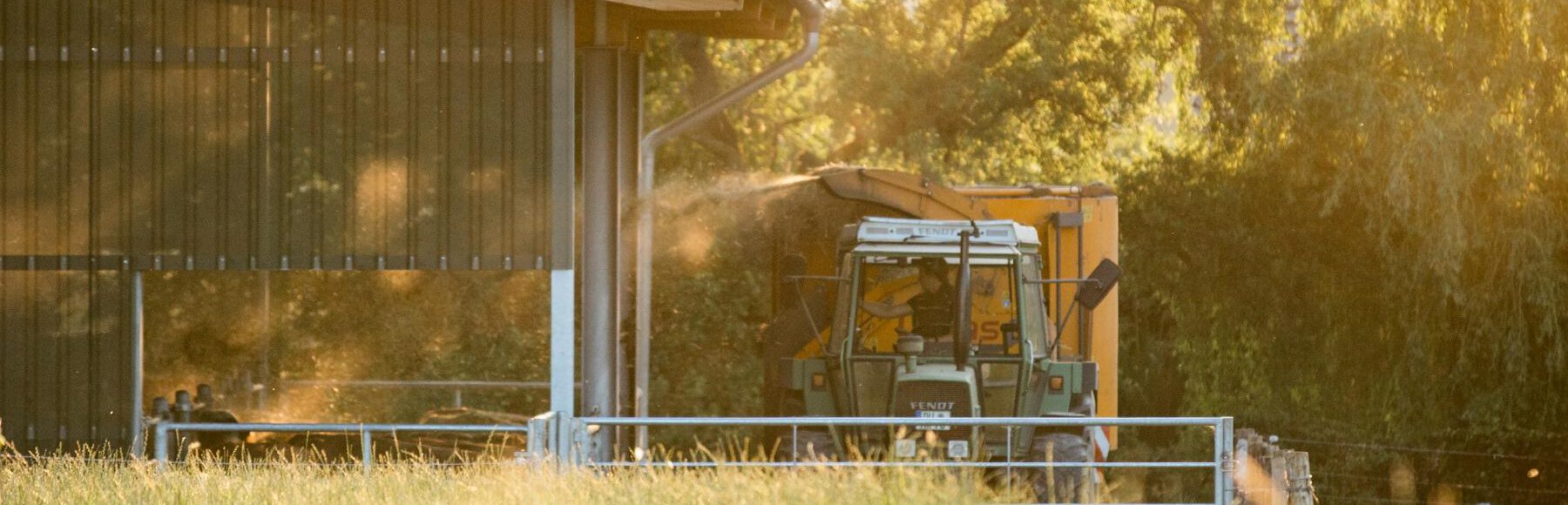 Holtumer Landhof – Bild 4