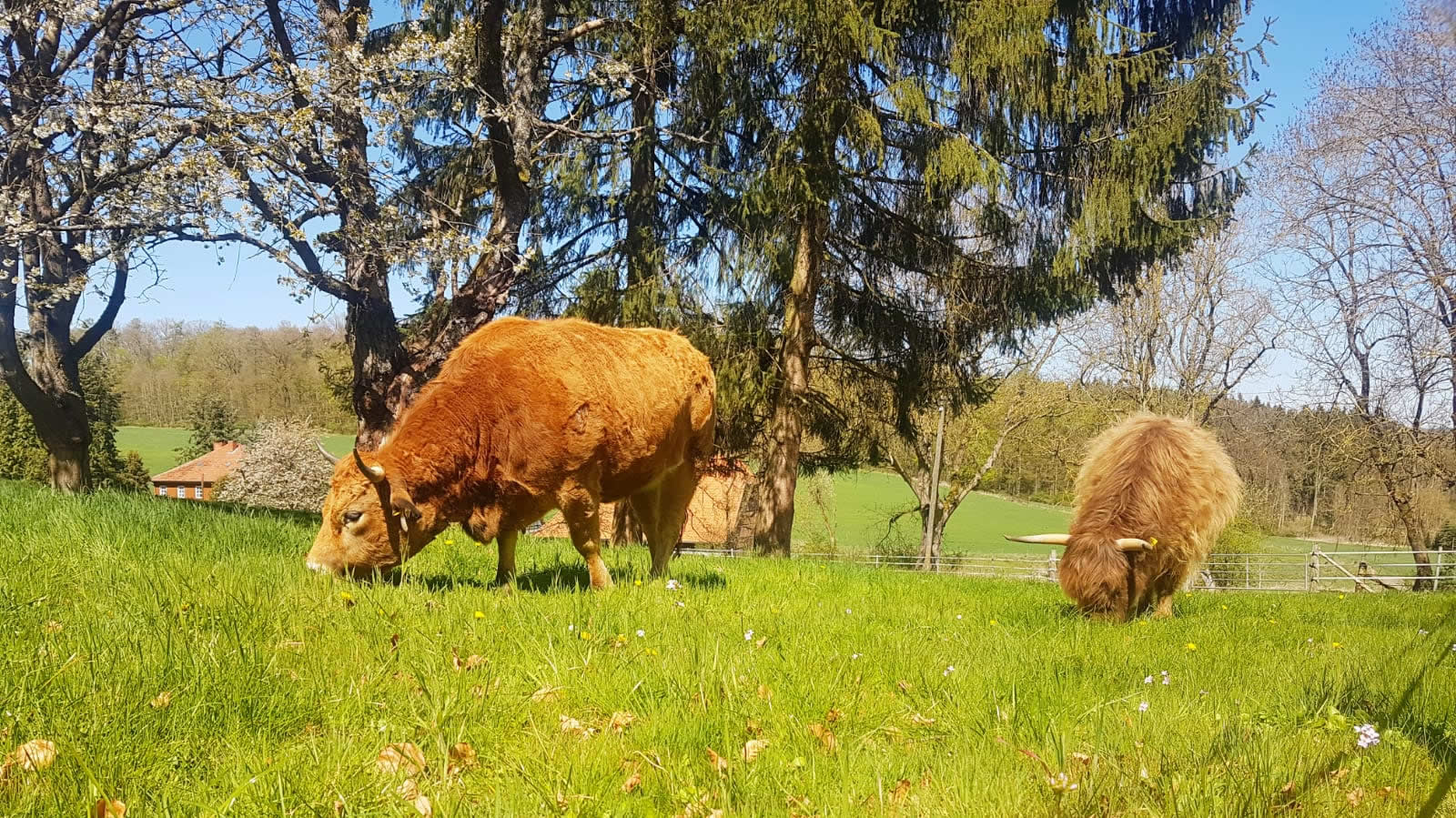 Schipper-Hof – Bild 1