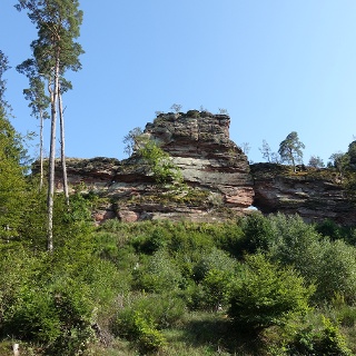 Klettergarten Gimmeldinger Steinbruch – Bild 6