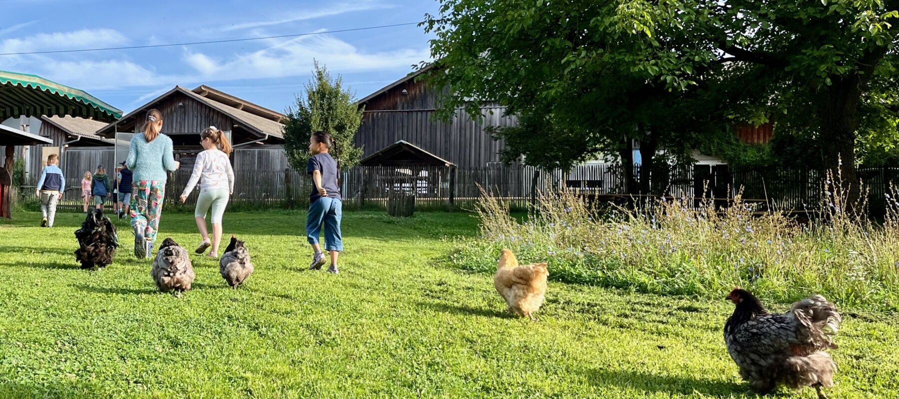 Lernort Bauernhof Hofgut Oberfeld – Bild 2