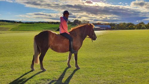 Ferienbauernhof Bernd Kindt – Bild 5