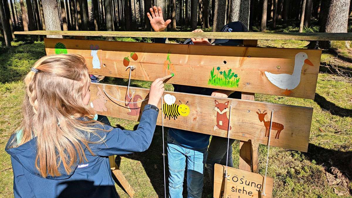 Rehauer Eulenweg – Bild 2