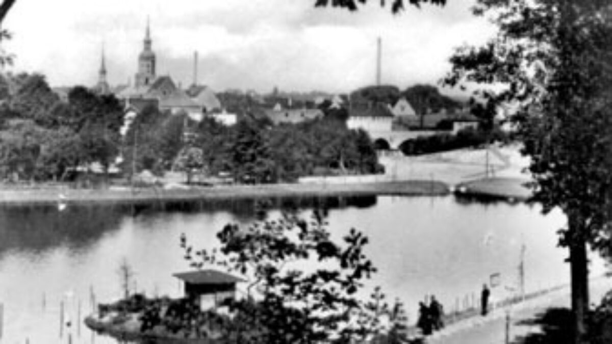 Schwanenteich – Bild 3