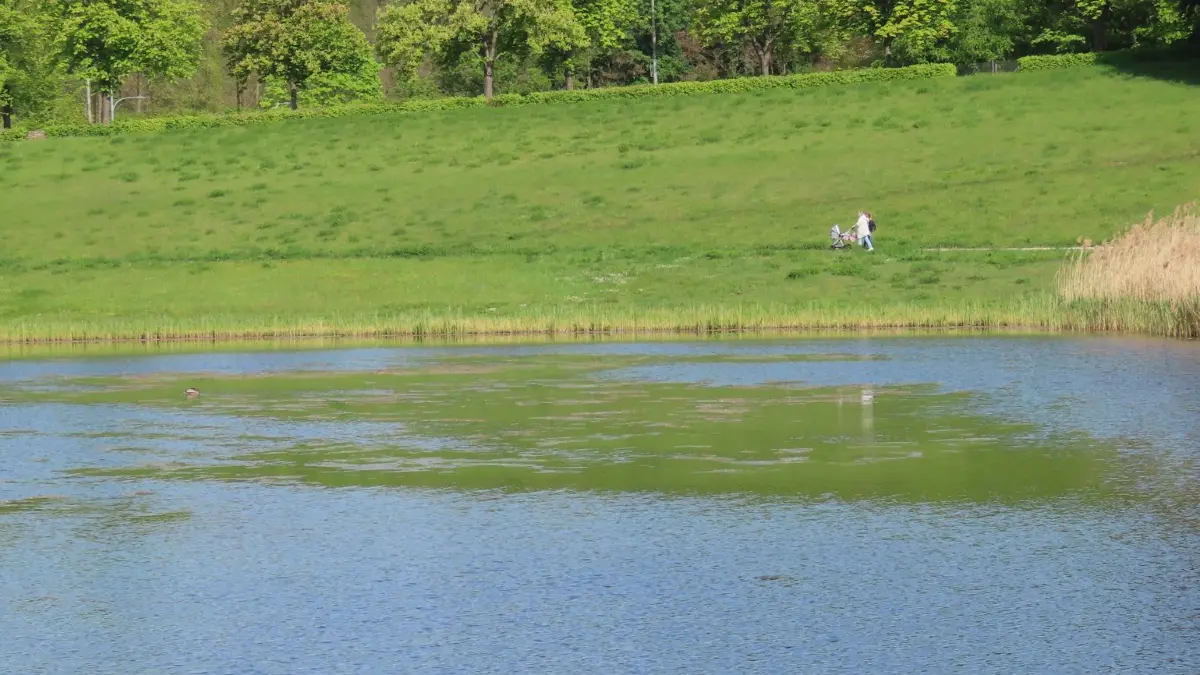 Schwanenteich – Bild 4