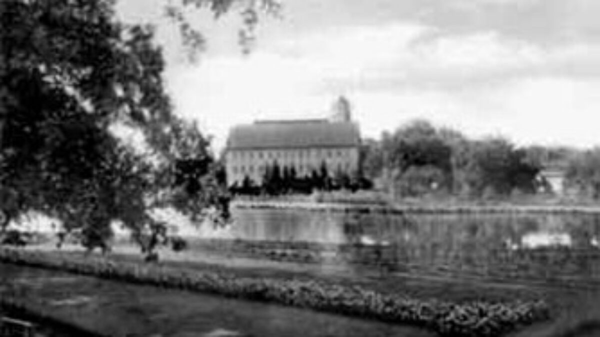 Schwanenteich – Bild 5