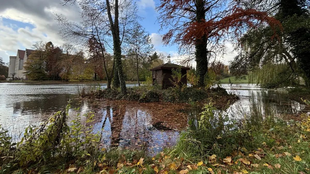 Schwanenteich – Bild 6