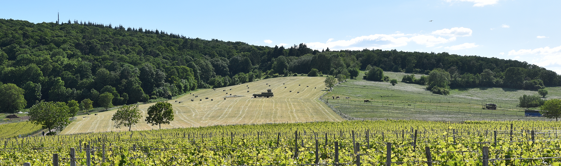 Hofgut NaturNahe – Bild 2