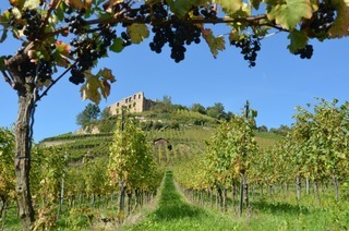 Festplatz – Bild 2