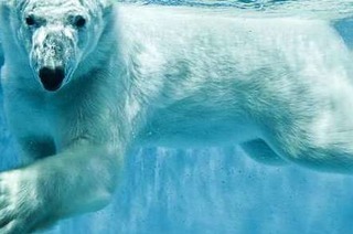 Festplatz – Bild 3