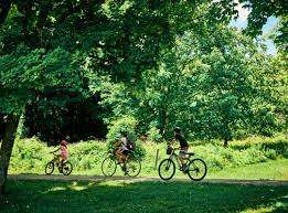 Parc Racine – Bild 5