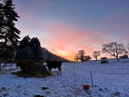 Ferienhof Bäumchen – Bild 5