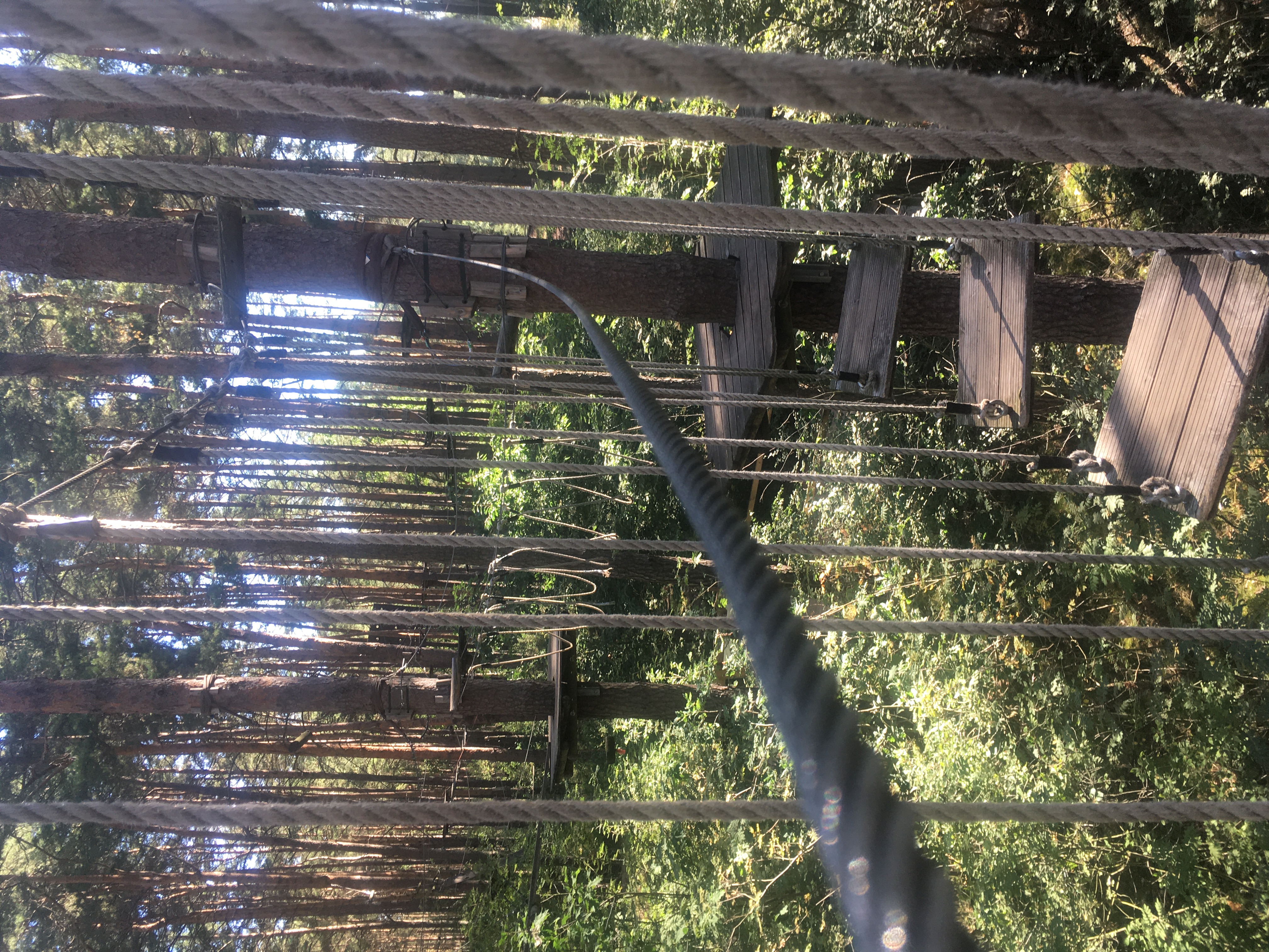 Kletterwald Schorfheide – Bild 2