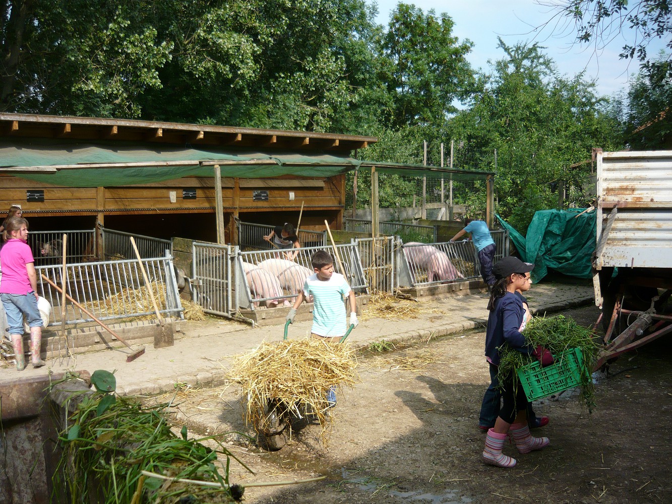 Internationaler Schulbauernhof Hardegsen gGmbH – Bild 2