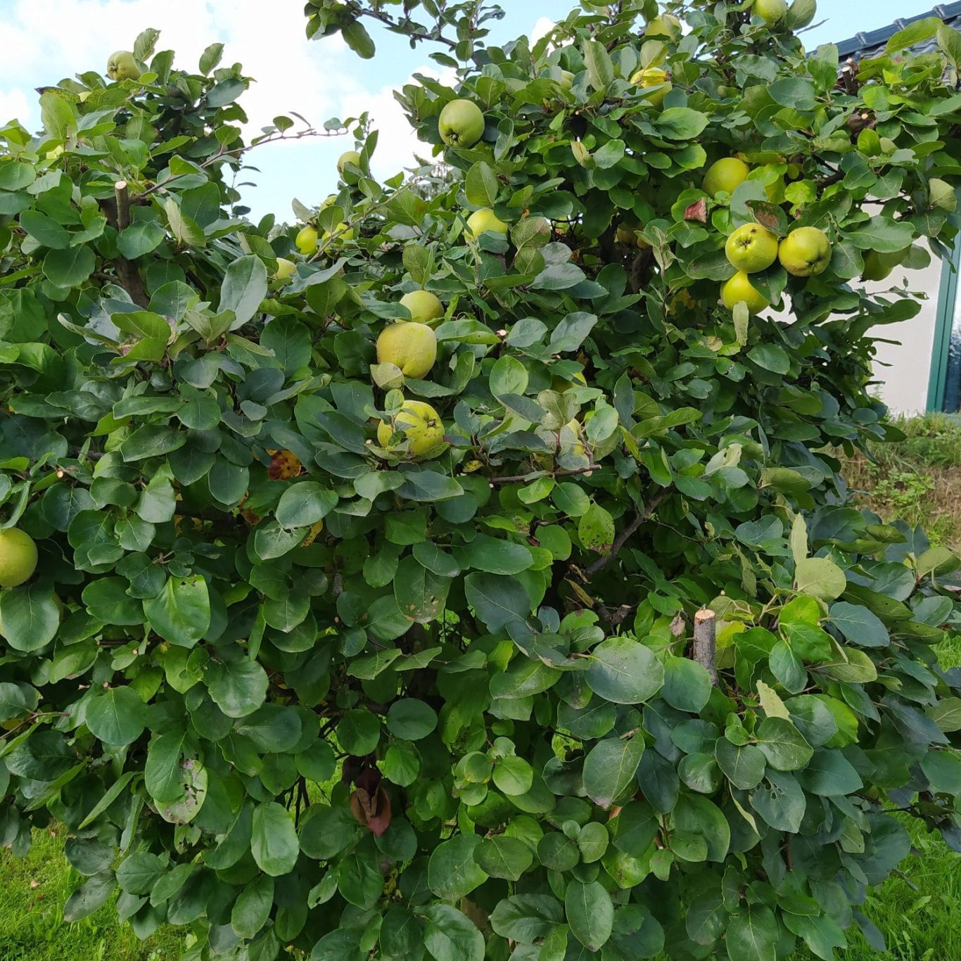 Landcafé Kröger – Bild 6