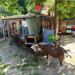 Kinderbauernhof Erkner – Bild 2