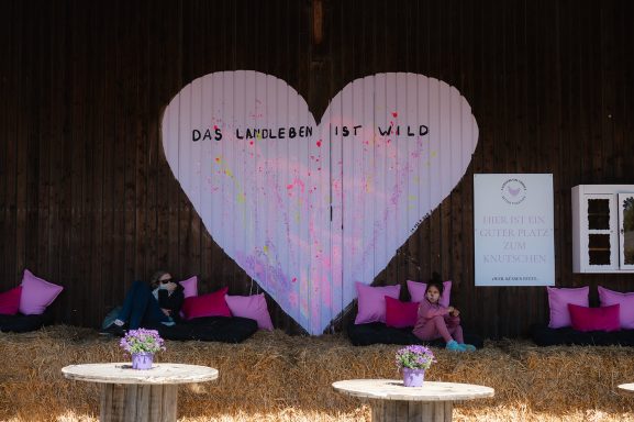 Landleben-Buchholz – Bild 2