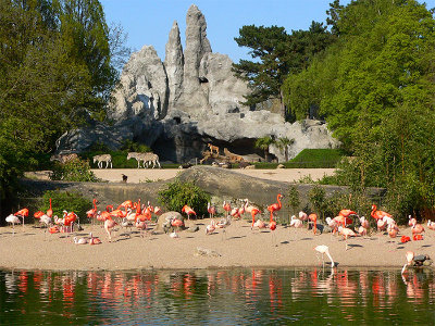 Tierpark Hagenbeck – Bild 3