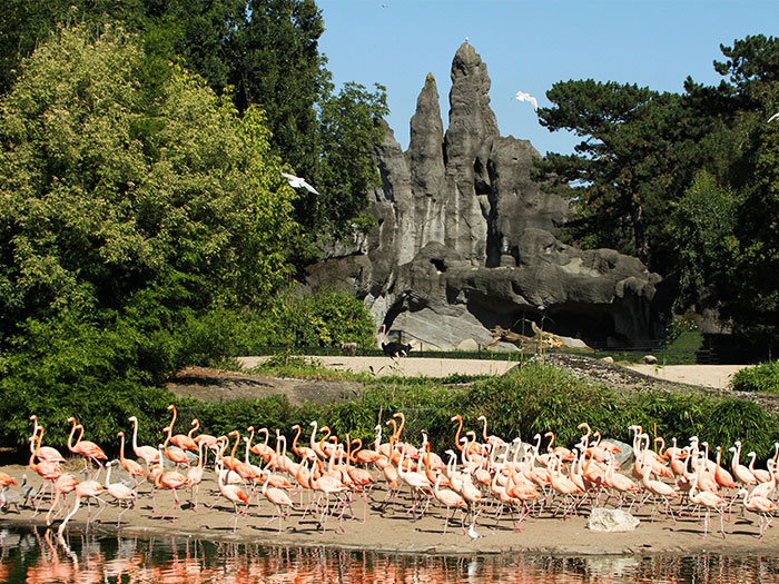 Tierpark Hagenbeck – Bild 4