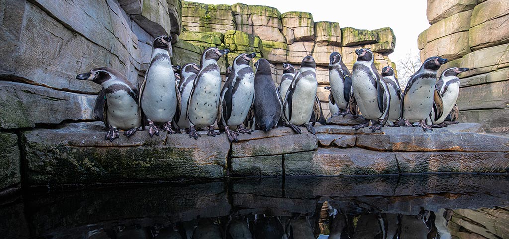 Tierpark Hagenbeck – Bild 5
