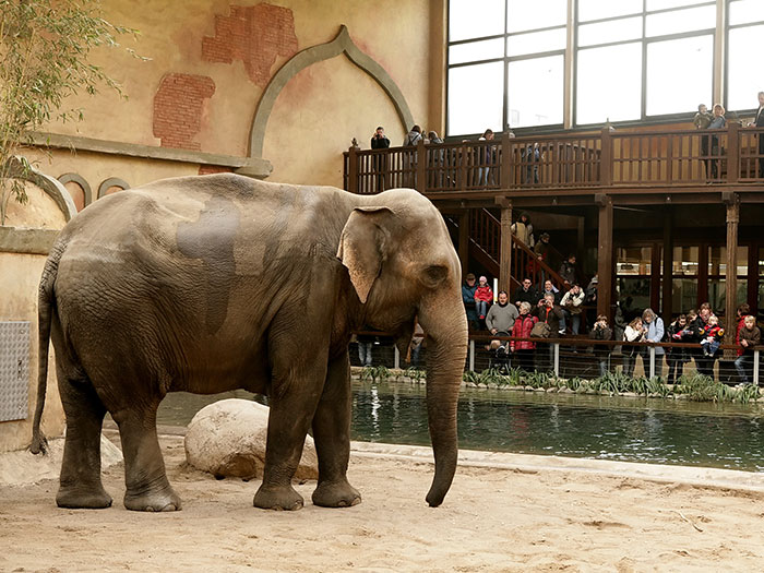 Tierpark Hagenbeck – Bild 6