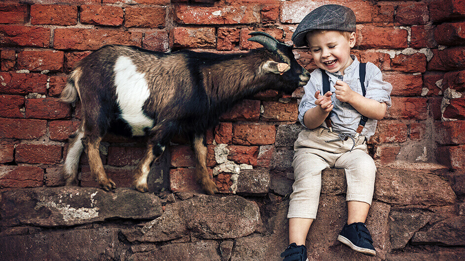 Kinderbauernhof NUSZ ufaFabrik – Bild 4