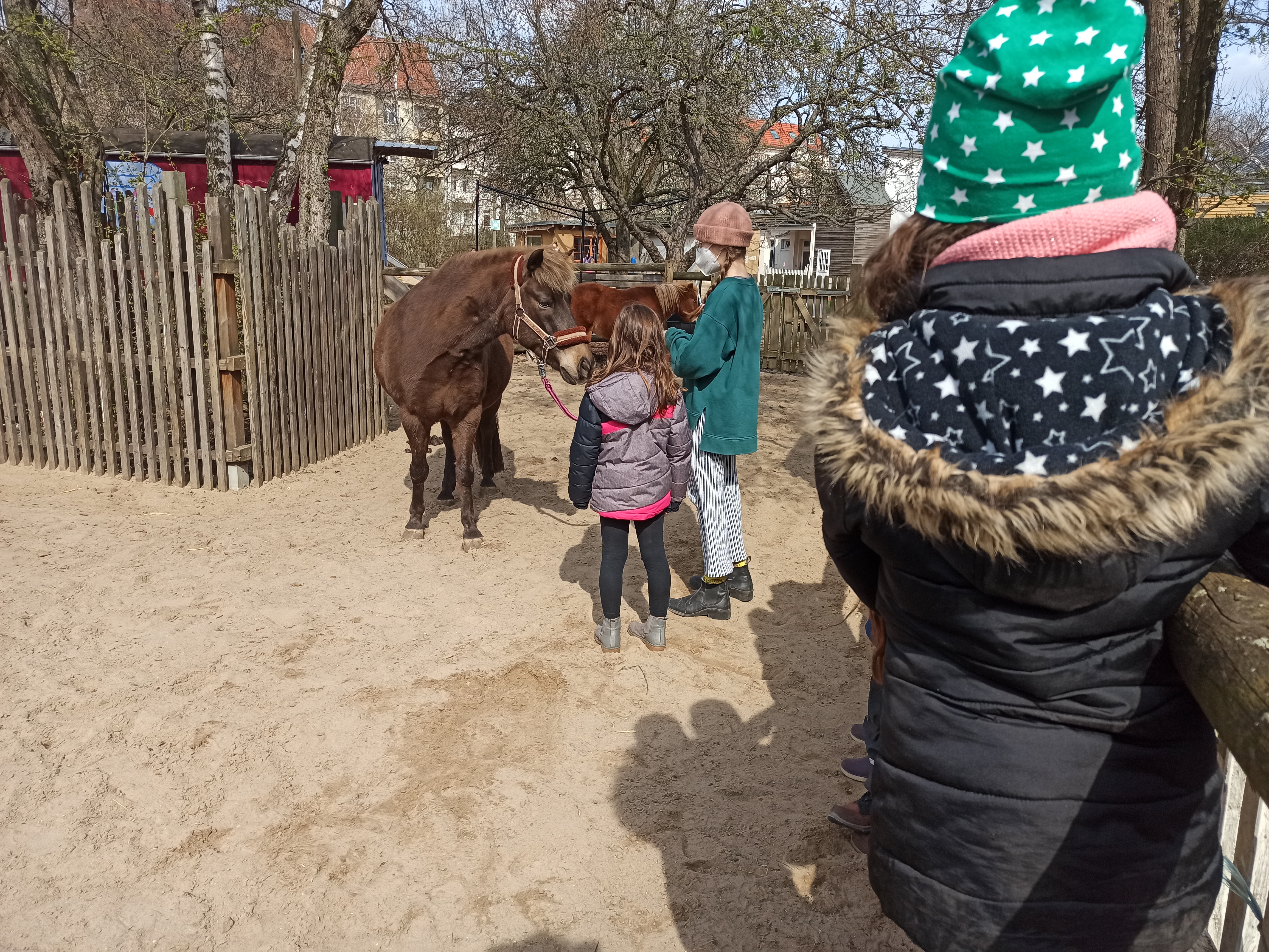 Kinderbauernhof NUSZ ufaFabrik – Bild 5