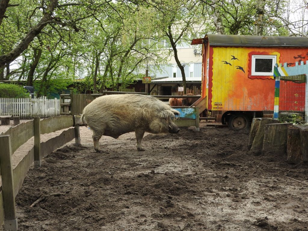 Kinderbauernhof NUSZ ufaFabrik – Bild 6